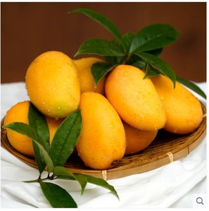 热带水果大台芒