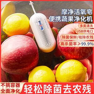 超声波洗菜器果蔬清洗机食材净化器解毒杀菌去农残祛腥味水果消毒