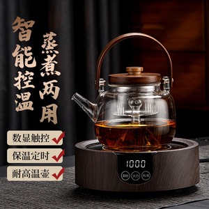 耐高温玻璃煮茶壶家用电陶炉烧水壶养生壶办公室专用老白茶煮茶器