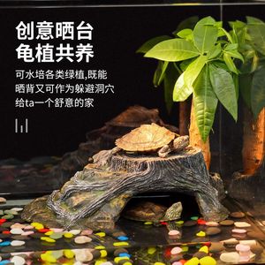 高档和乌龟共鱼乌龟养养鱼缸鱼缸缸和乌龟混养缸客x厅混合二奢华