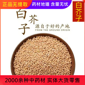 中药材正品野生白芥子500g特极新好货白芥子辣芥子芥菜子白芥籽茶