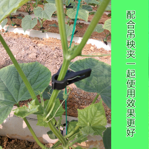 大棚西红柿黄瓜辣椒茄子吊秧绳轴夹蔬菜尼龙绳爬藤网吊蔓绳网引绳