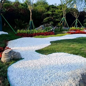 50斤白色石子鹅卵石花园原石天然庭院阳台造景铺地路景观小白石头