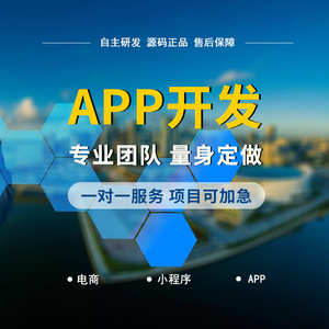 app开发定制网站小程序h5开发管理系统定开发定制源码交付