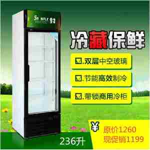 啤酒柜商用冰箱立式雪花乐堡单门展示柜保鲜冷藏超市陈列冷饮料柜