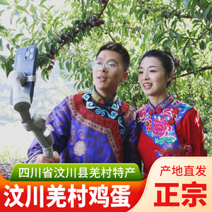 四川省阿坝州汶川县小王子王光强黄月小月月高原土鸡蛋羌村初生蛋