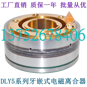 电磁离合器DLY5系列2A5A10A25A100重型大力矩牙嵌式DC24V质保一年