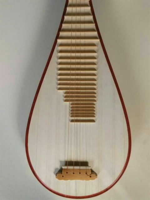 满瑞兴非洲红木成人琵琶非洲紫檀花梨木儿童琵琶乐专业演奏级琵琶