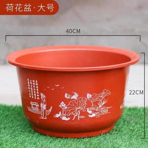 清仓特价处理塑料花盆无孔水培铜钱草不漏水浅口白色大号水养