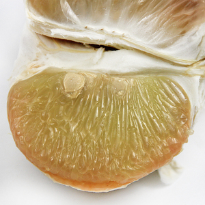 泰国ick金柚2只大果进口泰柚蜜柚肉嫩多汁红宝石柚新鲜当季妇水果