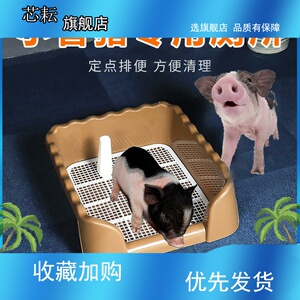 宠物猪小香猪厕所