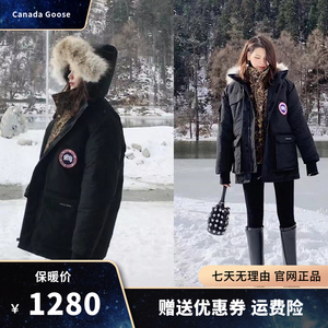 加拿大鹅亚洲版