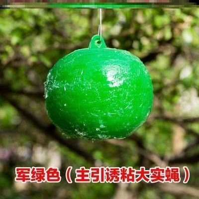 高端笼诱球蝇球橘灯笼橘树粘诱球柑果虫蝇.球蜂诱奢华