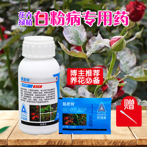 月季白粉病专用药安道麦酷斯特思多肉黑斑病叶斑病杀菌剂养花必备
