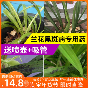 园老师兰花黑斑病专用药兰花祛除黄叶白粉病叶斑病戊唑醇杀菌剂