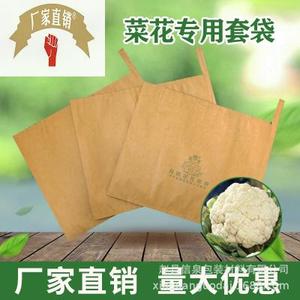 信泉菜花纸袋双层袋遮光纸包装袋有机花菜套袋防雨水套袋果袋蔬菜