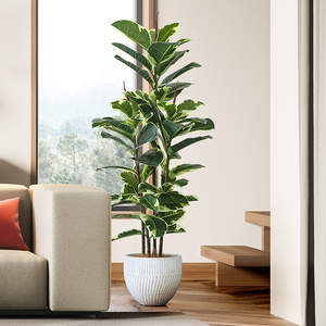 北欧ins仿真植物盆栽花叶橡皮树室内装饰橱窗大型绿植盆景摆件