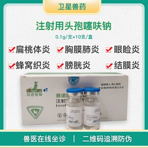 1g10瓶注射用头孢噻呋钠冻干粉宠物猫狗兔速克速诺抗菌