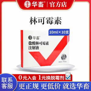 华畜兽药林可霉素注射用液兽用母猪乳房产后消炎牛羊链球菌混感