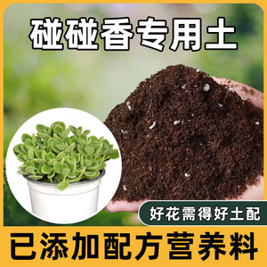 碰碰香专用土腐殖土营养土通用种植土家用土壤种花泥土种绿植泥土