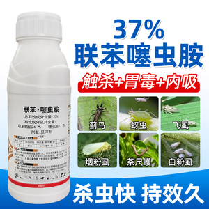 37%联苯噻虫胺蚜虫蓟马白粉虱跳甲联苯菊酯噻虫胺农药杀虫剂