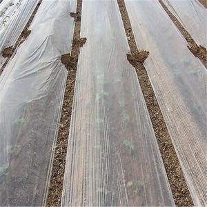 农用薄膜保温地膜蔬菜西瓜花生地水稻育秧玉米绿地加厚除草透明膜