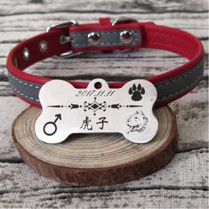 拉布拉多犬项圈刻字