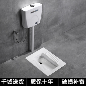 金牌卫浴蹲便器