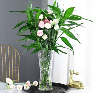 欧式简约特大号玻璃花瓶透明水养富贵竹百合家用花瓶客厅插花摆件