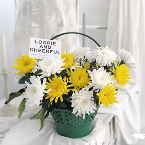 清明节花盆插花丧事菊花祭祀烈士花束花篮白事葬礼追悼会花店墓地