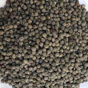 宠物及园艺 种子,种苗及种球 种子 黄蜀葵子15.