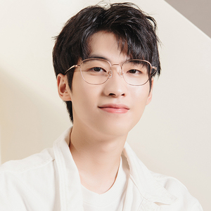 鸿晨眼镜正品新款斯文复古超轻钛架全框眼镜架抗菌健康镜片女大脸