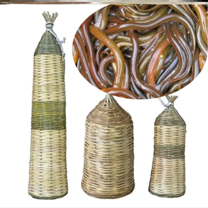 黄鳝笼倒须水上漂竹制编捕鳝地网抓捉鳝鱼工具神器手工编织诱饵笼