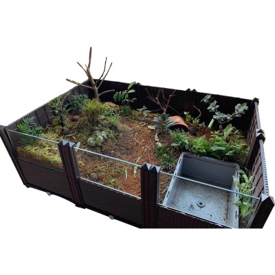 安徽黄缘龟盒龟半水龟专用缸饲养台缘闭壳养殖安缘殖箱环境黄缘