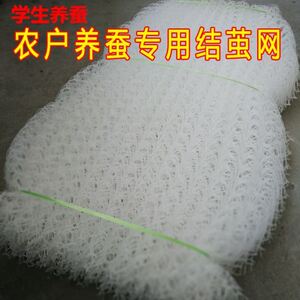 蚕结茧网养蚕专用工具吐丝结茧架上上蔟网塑料方格簇学生大小网