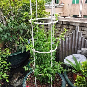 新款山乌龟爬藤架花架子铁线莲月季d花支物花盆爬架攀植支架室内