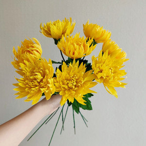 皱纹纸菊花材料包 手工花束diy材料纸藤花制作 清明节手工纸花