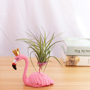 空气凤梨植物桌面火烈鸟家居摆件无土盆栽绿植花卉生日情侣礼物