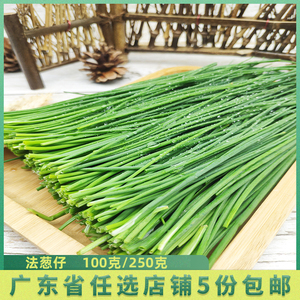新鲜虾夷葱 西洋细葱 chives小葱 法葱仔 细香葱