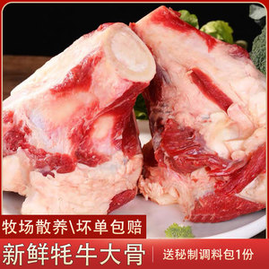 牦牛骨新鲜