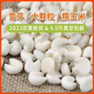 广西雪芽白糯玉米整粒大颗宝宝脱皮玉米粒头煮菜糖水苞米真空包装