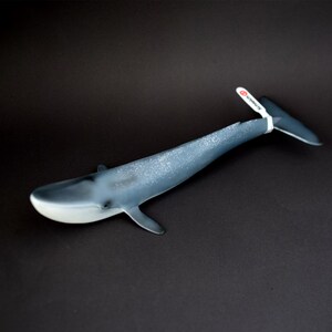 德国品牌思乐正版静态仿真海洋动物模型 蓝鲸 鲸鱼14806 儿童玩具