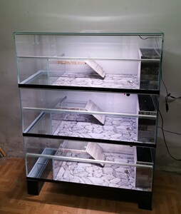 大型鳄龟缸水族箱