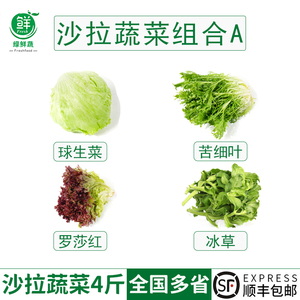 新鲜蔬菜沙拉组合4斤红叶苦菊冰草球生菜混合色拉生吃食材轻食