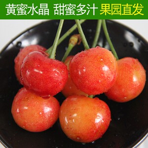 烟台大樱桃黄水晶