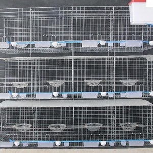 组装鸽舍鸽棚室外组合笼养鸽子笼繁殖特大家用大号三层笼配对全套