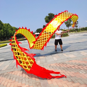 舞龙彩带健身龙带甩广场舞甩龙龙头布龙耍龙手中老年飘带空竹彩龙