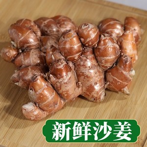 沙姜新鲜1/3/5斤装 山奈三奈广东种子特产老生姜蘸食用农产品包邮