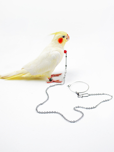 推荐蜡嘴鸟架产品的详细参数,实时报价,价格行情,优质批发/供应等信息