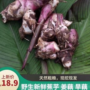 芋姜藕现挖新鲜活在党下呢感兴趣的产品生肠新鲜新鲜甜笋松菌新鲜
